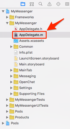 AppDelegate.m